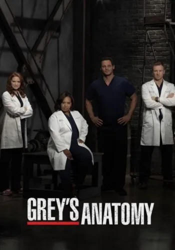 Постер 13 сезона Анатомия страсти